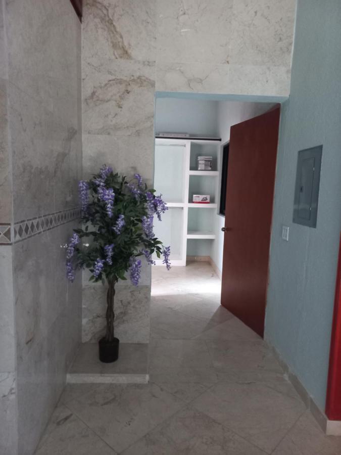 Departamento Tayde Διαμέρισμα San José del Cabo Εξωτερικό φωτογραφία